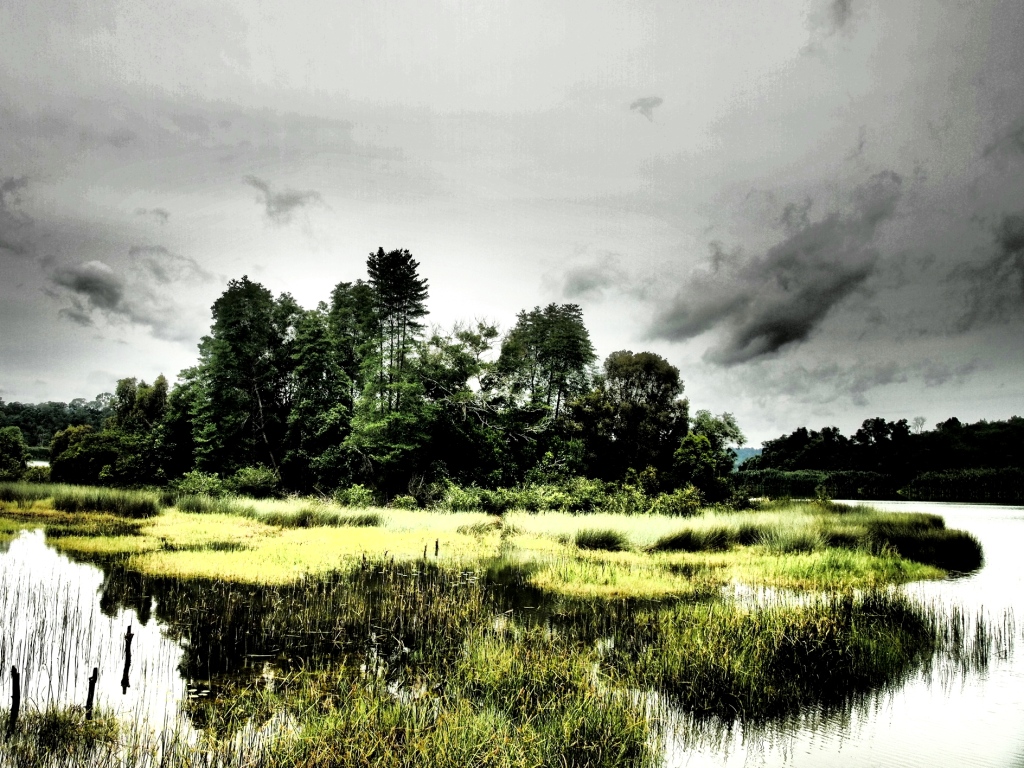 Tasik Chini